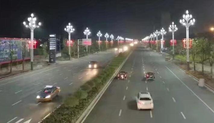 东莞宅男666视频社区照明玉兰灯道路照明效果实景图
