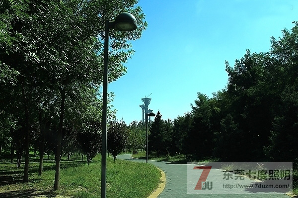 城市森林公园道路、步道照明设计原则
