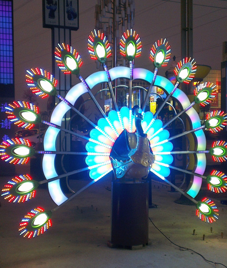 孔雀开屏宅男在线观看亮灯实景图片