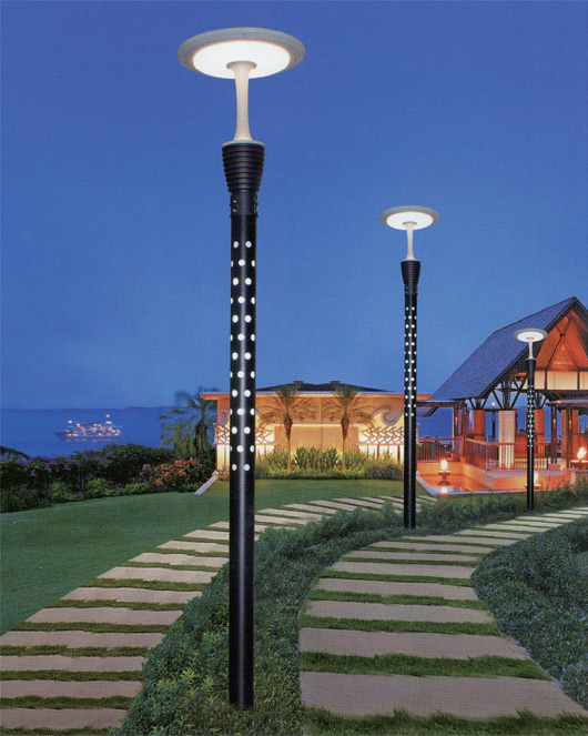 宅男666视频社区照明3米广场简约现代LED庭院灯图片