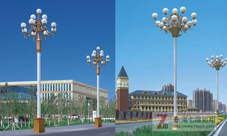 东莞宅男666视频社区照明13火景观道路中华灯图片