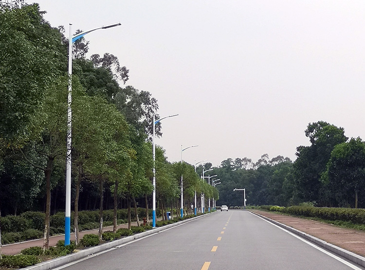 7米单臂热镀锌午夜宅男在线观看100WLED路灯安装效果实拍